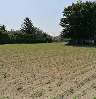 Foto annuncio 12
