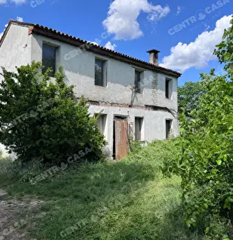 Foto annuncio 5