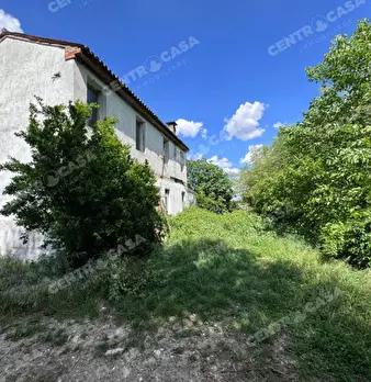 Foto annuncio 8