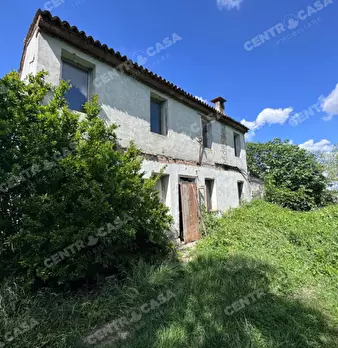 Foto annuncio 10