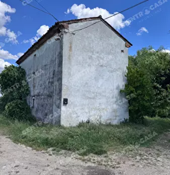 Foto annuncio 11