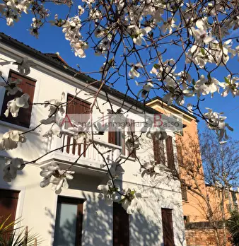 Foto annuncio 16
