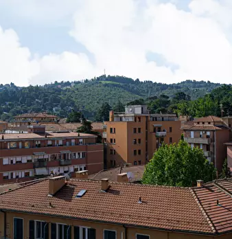 Foto annuncio 41