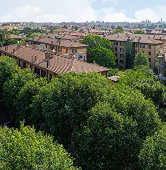Foto annuncio 42
