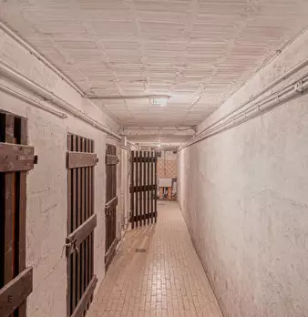 Foto annuncio 46