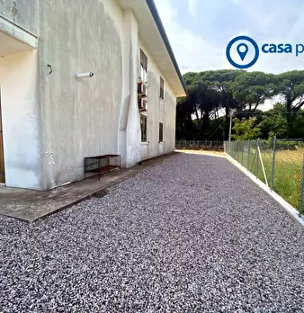 Foto annuncio 68