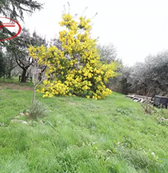 Foto annuncio 4