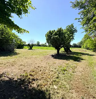 Foto annuncio 7