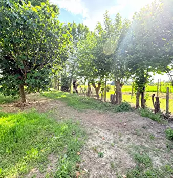 Foto annuncio 28