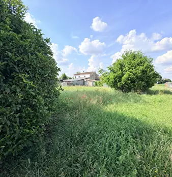 Foto annuncio 37