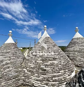Foto annuncio 100