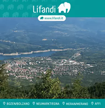 Foto annuncio 1