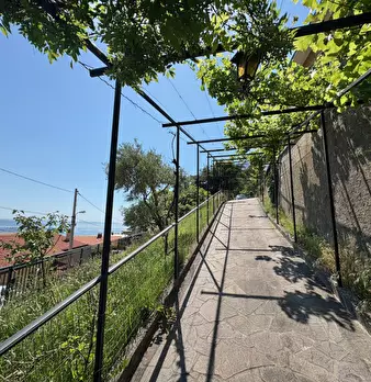 Foto annuncio 5