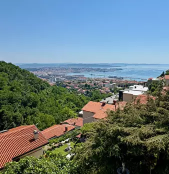 Foto annuncio 26