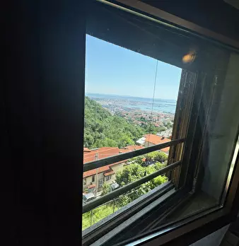 Foto annuncio 71