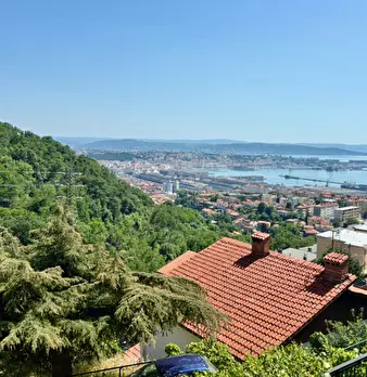 Foto annuncio 85