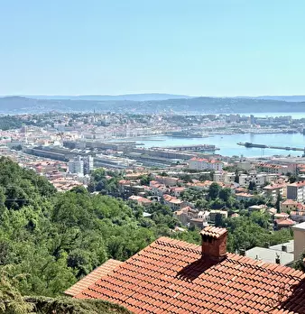 Foto annuncio 86
