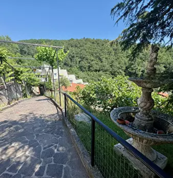 Foto annuncio 92