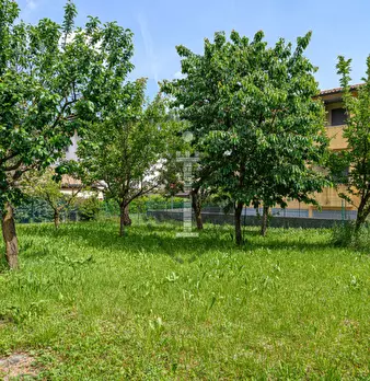 Foto annuncio 30