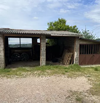 Foto annuncio 10