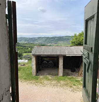 Foto annuncio 11
