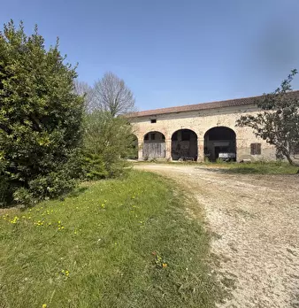 Foto annuncio 6