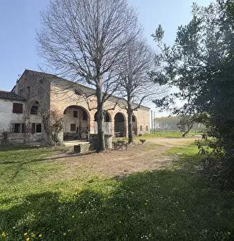 Foto annuncio 7