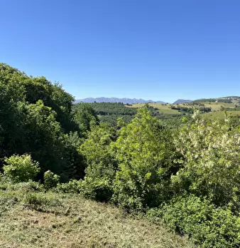 Foto annuncio 7