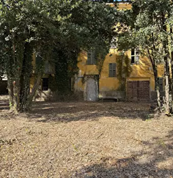 Foto annuncio 5