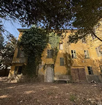 Foto annuncio 6