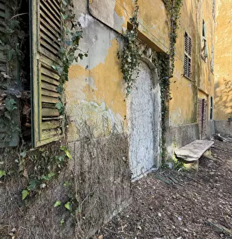 Foto annuncio 10