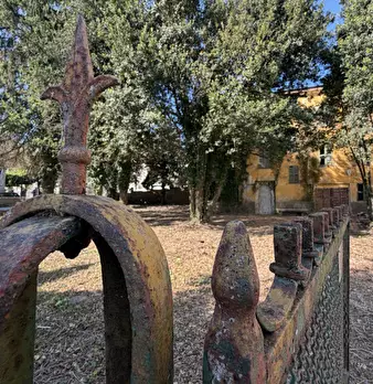 Foto annuncio 13
