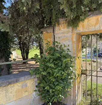 Foto annuncio 19