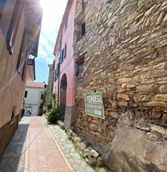 Foto annuncio 8