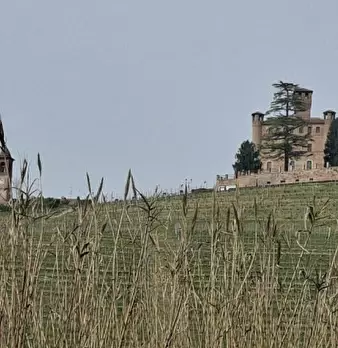 Foto annuncio 15