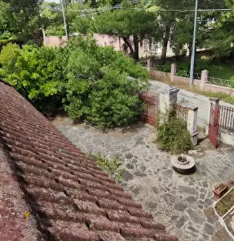 Foto annuncio 6
