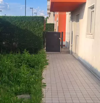 Foto annuncio 5