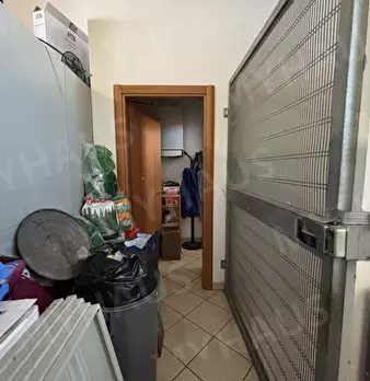 Foto annuncio 12