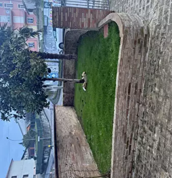 Foto annuncio 4
