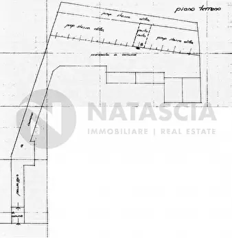 Foto annuncio 19