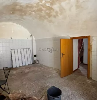 Foto annuncio 24