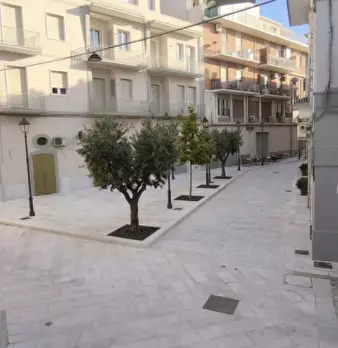 Foto annuncio 7