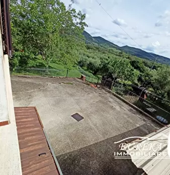 Foto annuncio 19