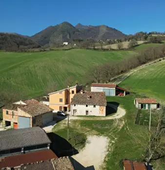Foto annuncio 5