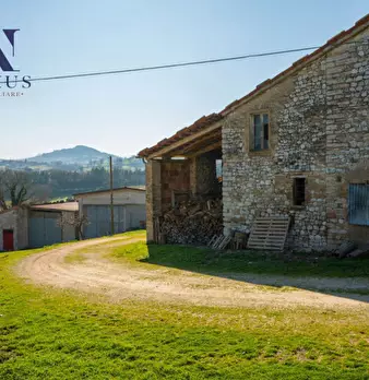 Foto annuncio 19