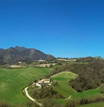 Foto annuncio 25