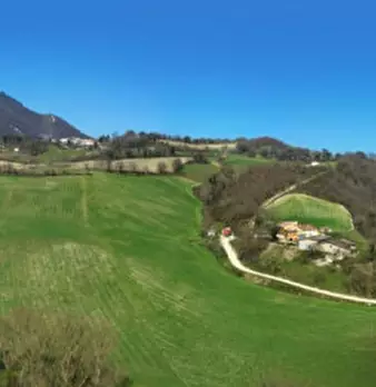 Foto annuncio 28