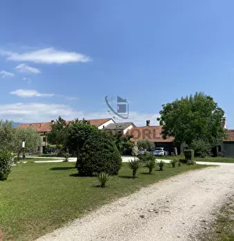 Foto annuncio 6