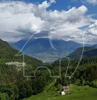 Foto annuncio 20