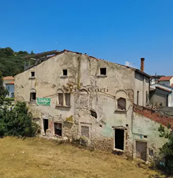 Foto annuncio 7